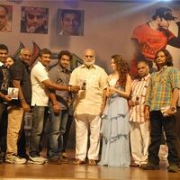 Jr NTR's Oosaravelli Audio Launch Gallery | Picture 77341